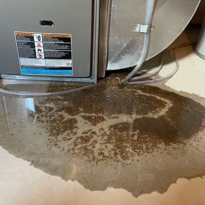 Appliance Leak Cleanup in Sioux Center, IA